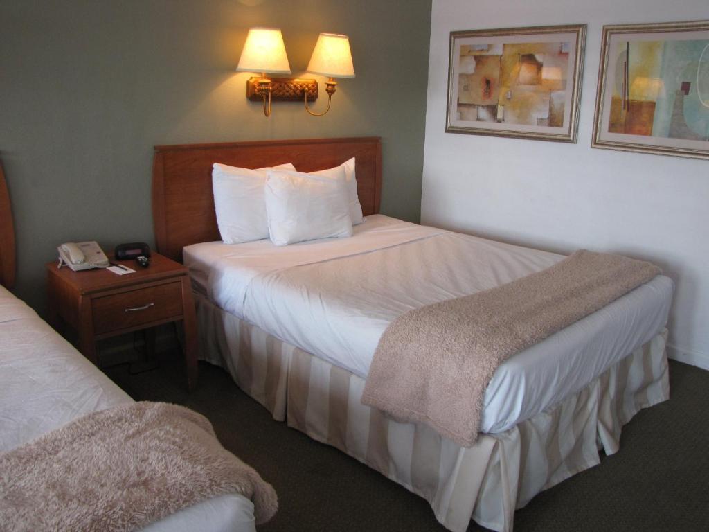 Blue Marlin Motel Key West Zimmer foto